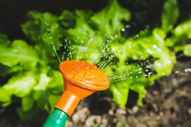 gardening